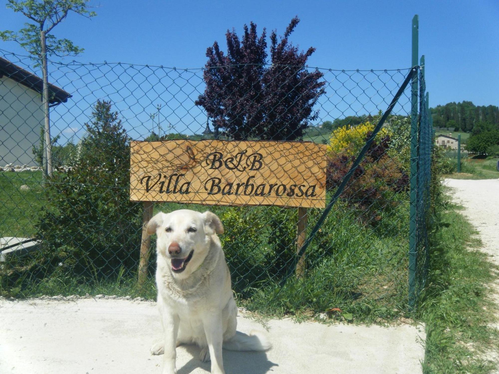 B&B Villa Barbarossa Petrignano Exteriör bild